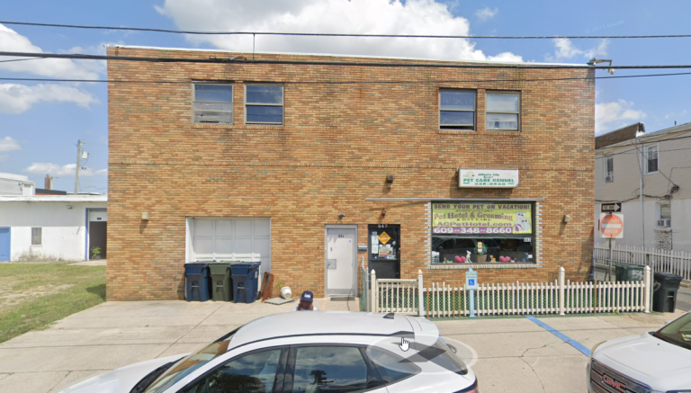 Atlantic City Pet Hotel Grooming 768x437