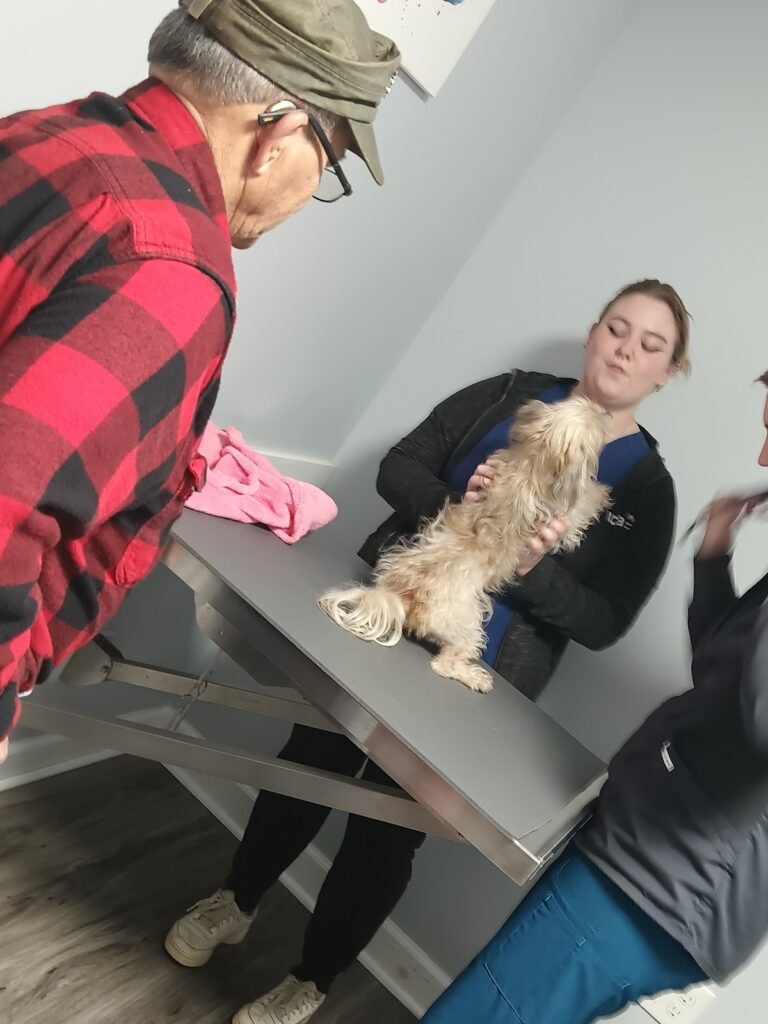abri animal hospital 5 768x1024