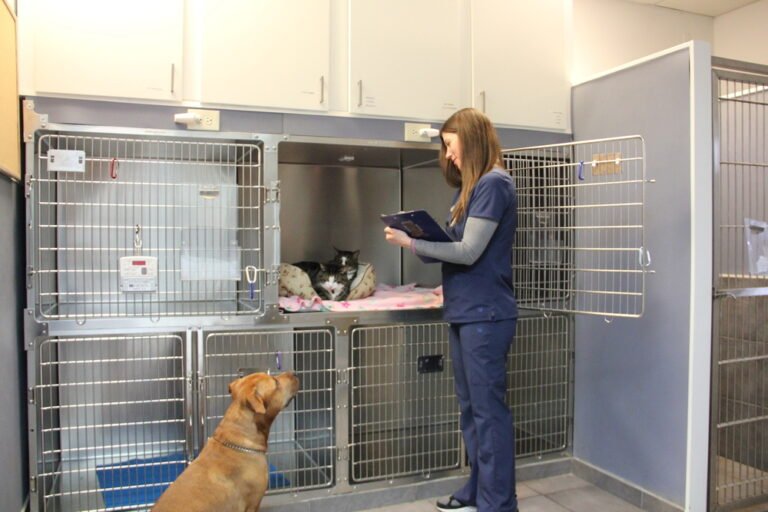 allendale veterinary hospital 5 768x512