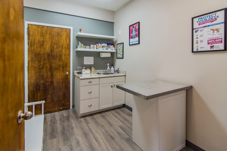 animal care center 3 768x512