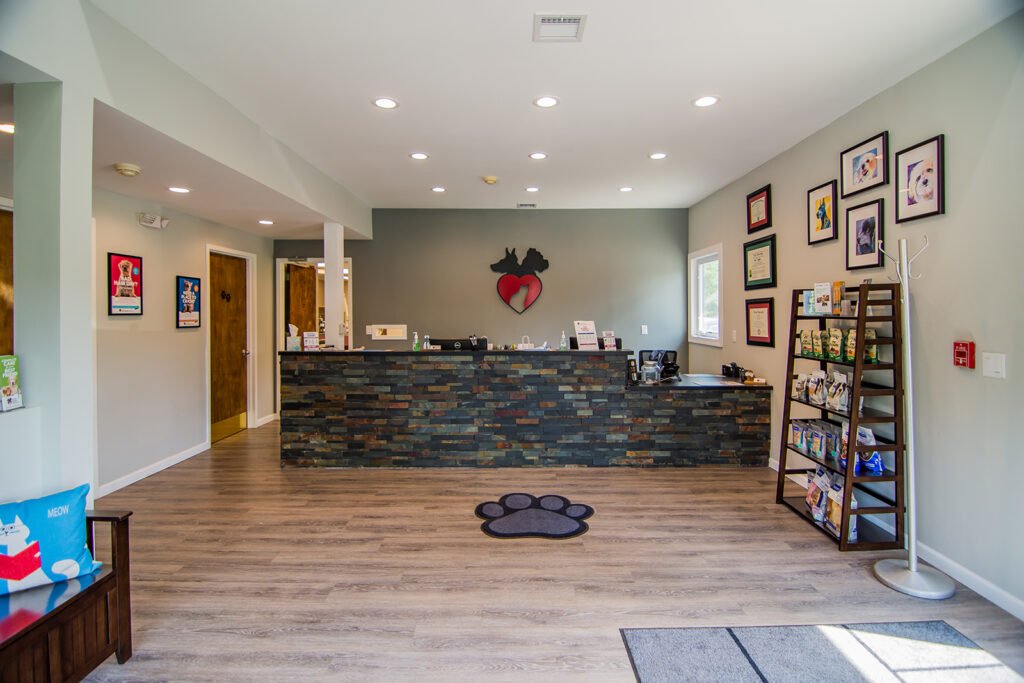 animal care center 4 1024x683