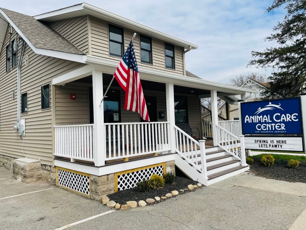 animal care center of new jersey 4 1024x768
