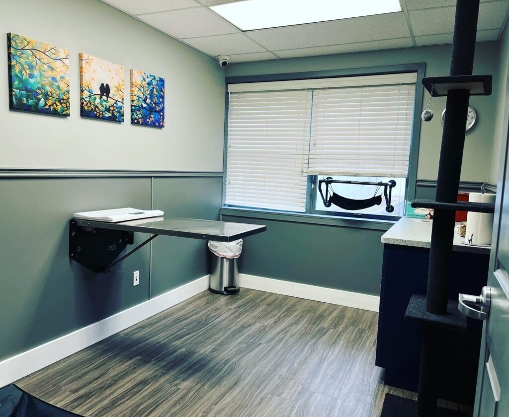 animal clinic of hammonton 3 1024x840