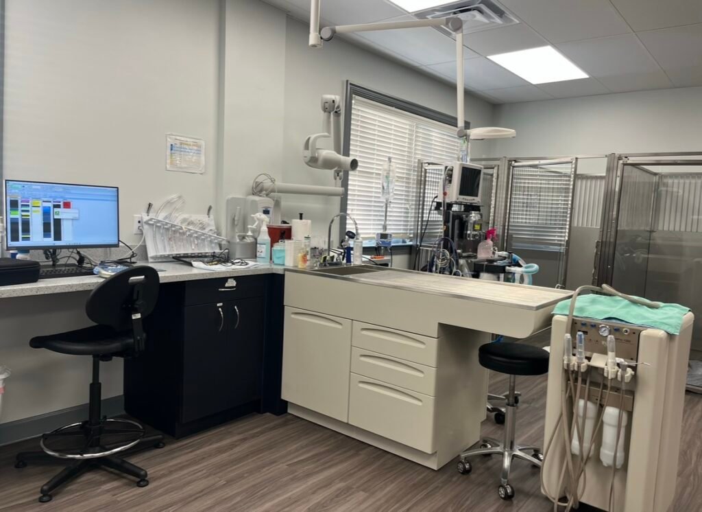 animal clinic of hammonton 5 1024x746