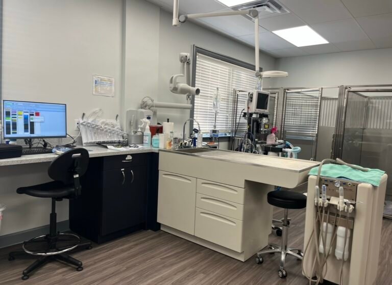 animal clinic of hammonton 5 768x559
