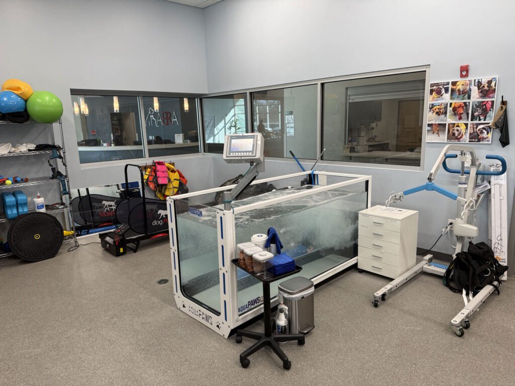 animal rehabilitation and fitness 4 1024x768