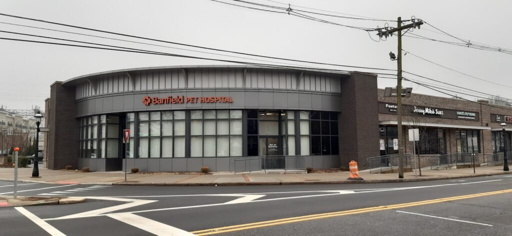 banfield pet hospital 2 1 1024x473