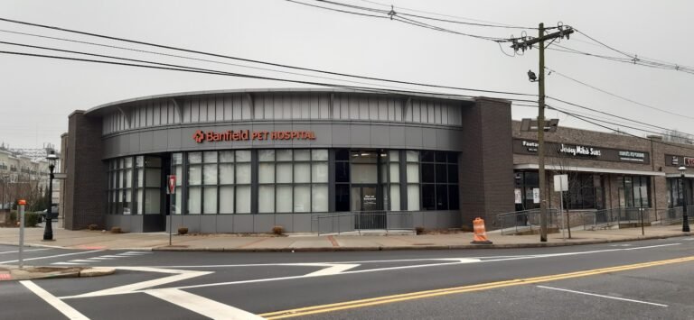 banfield pet hospital 2 1 768x355