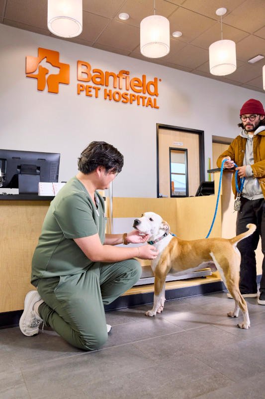 banfield pet hospital 3