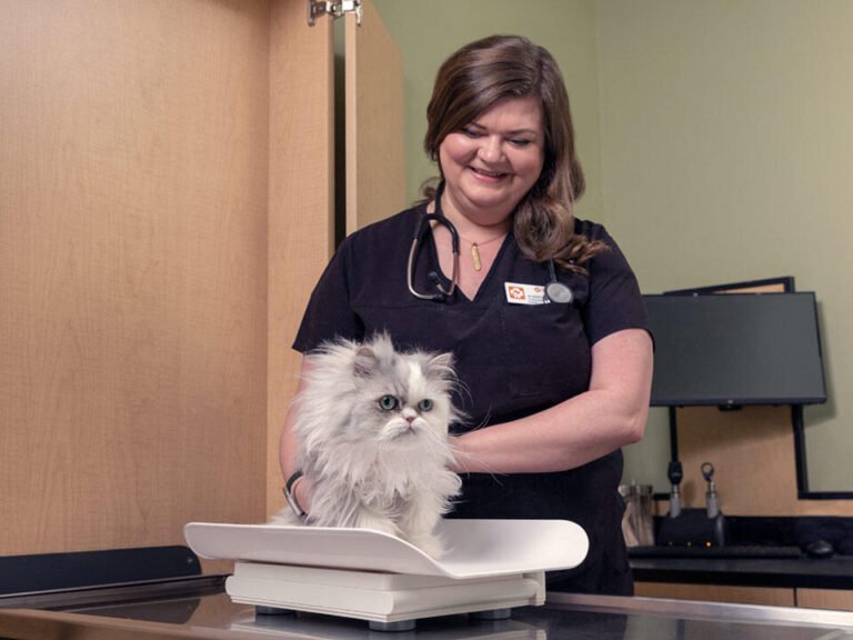 banfield pet hospital 5 1 768x576
