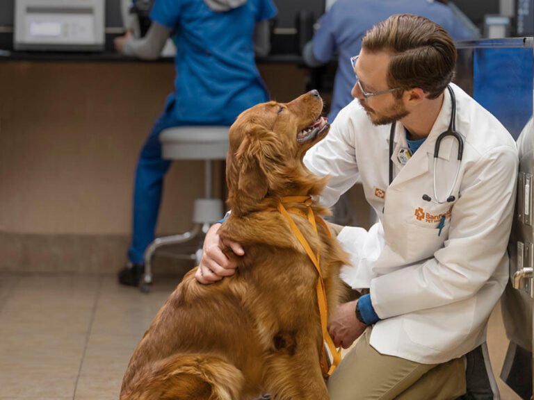 banfield pet hospital 5 2 768x576