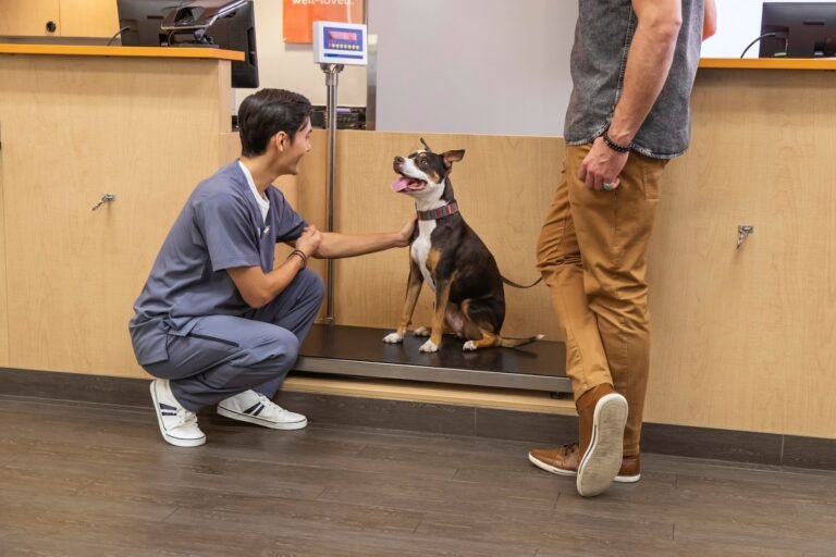 banfield pet hospital 5 768x512
