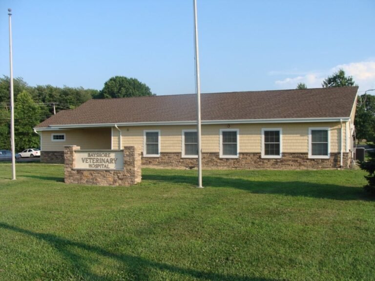 bayshore veterinary hospital 2 768x576