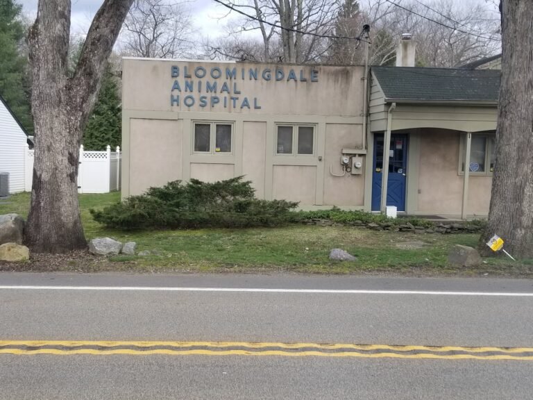 bloomingdale animal hospital 4 768x576