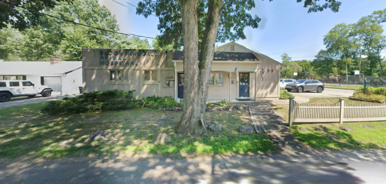 bloomingdale1 768x368