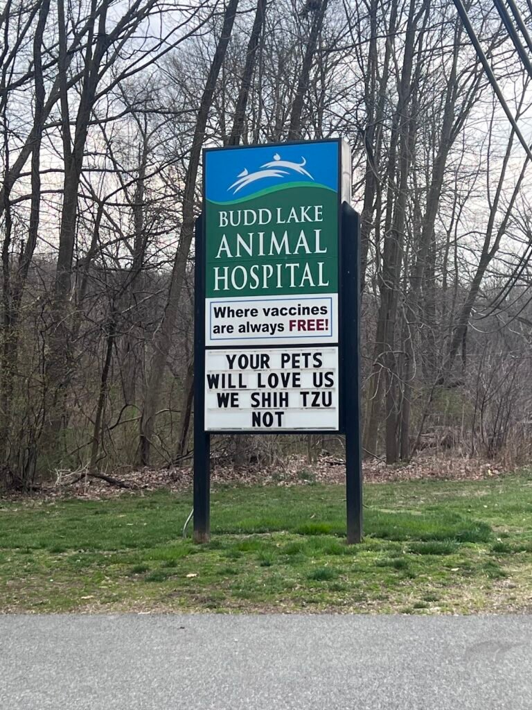 budd lake animal hospital 2 768x1024