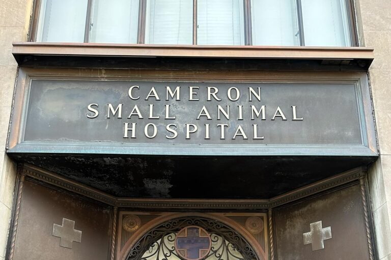cameron animal hospital 2 768x512