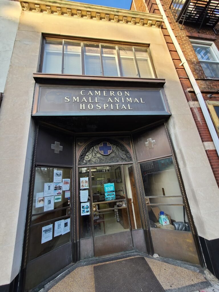 cameron animal hospital 3 768x1024