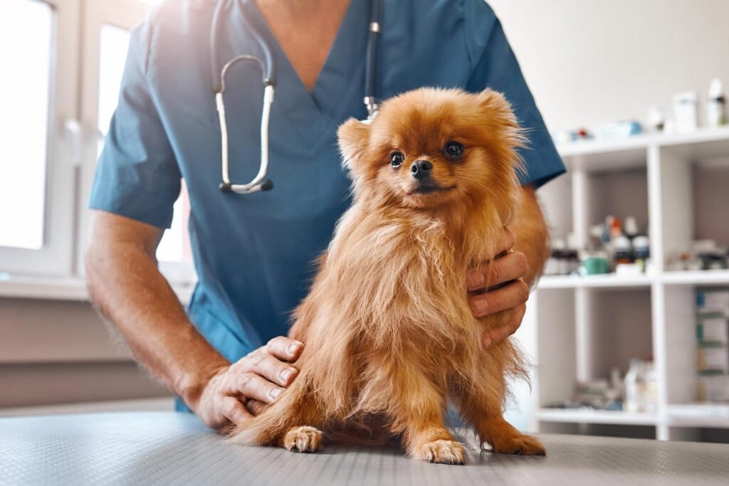 cameron animal hospital 5 1024x683
