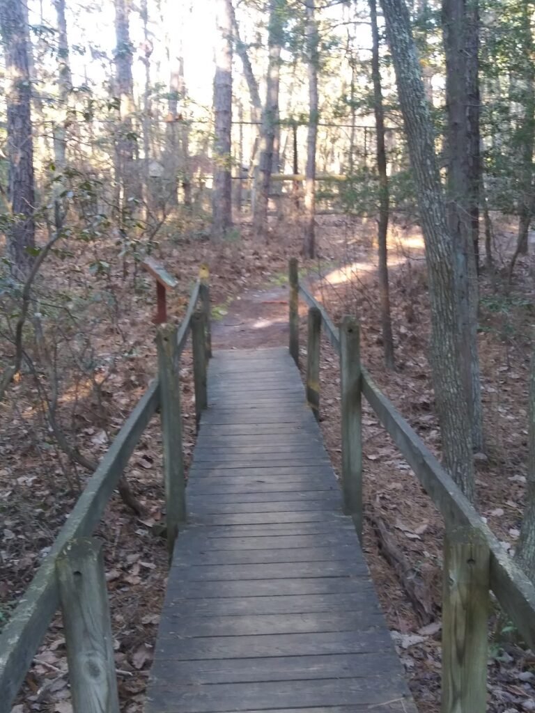 cedar run wildlife hospital 2 768x1024