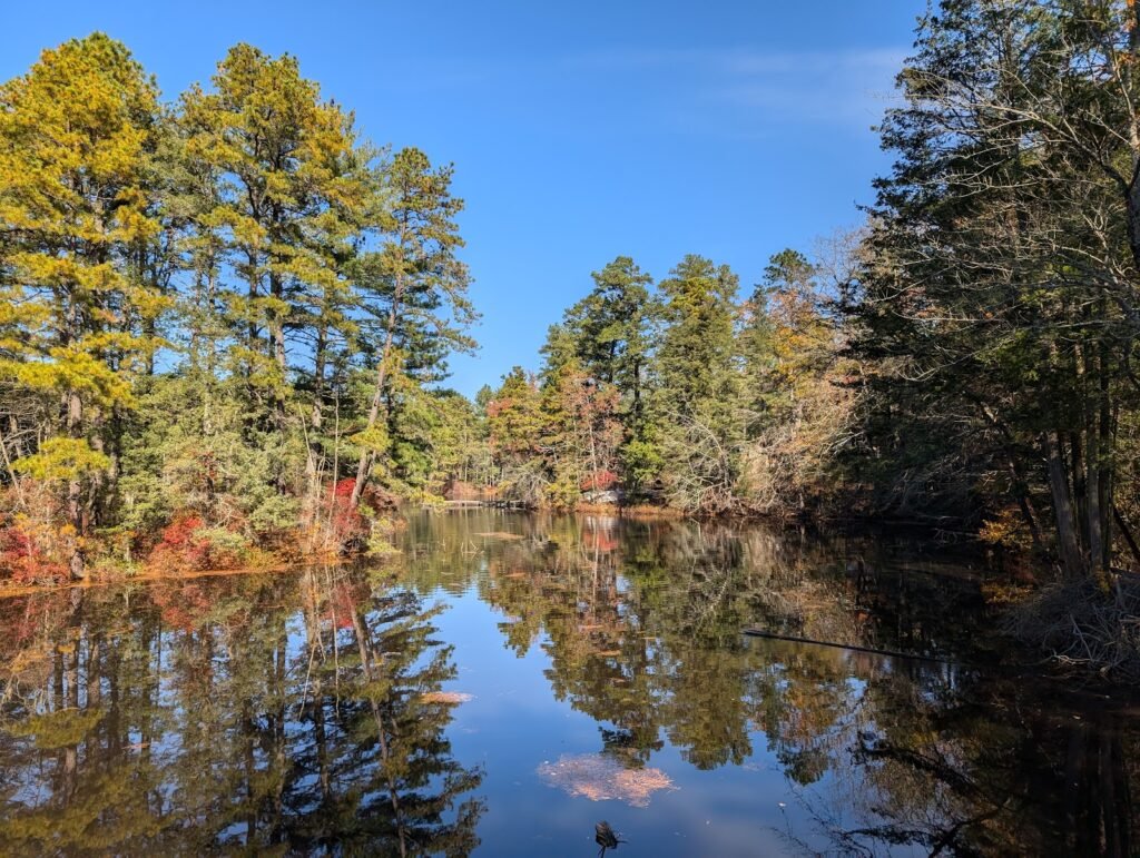 cedar run wildlife hospital 4 1024x771