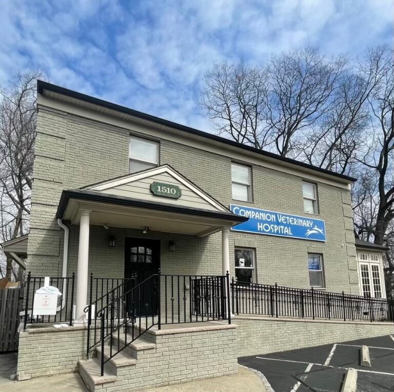 companion veterinary hospital of wayne 2 768x763