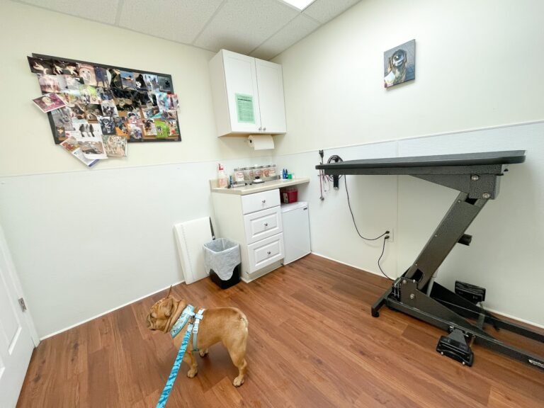 complete veterinary care 2 768x576