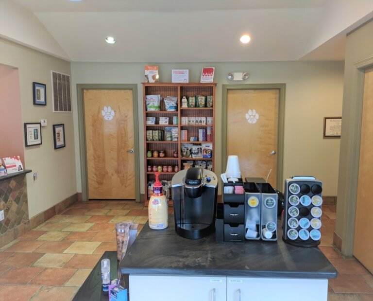 county veterinary hospital 3 768x619