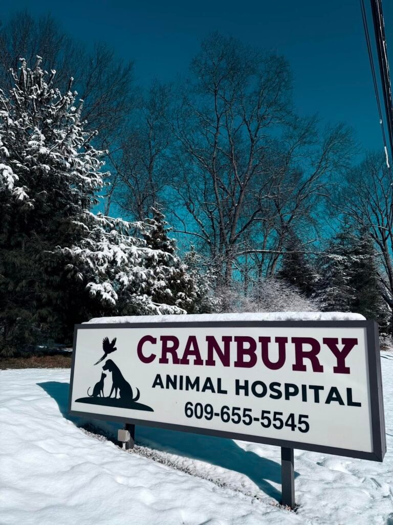 cranbury animal hospital 2 768x1026