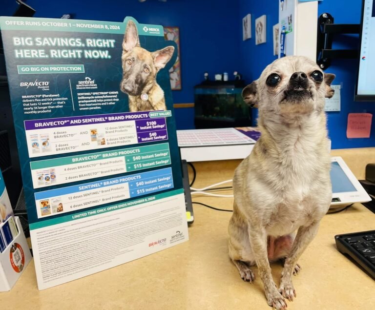 cranbury animal hospital 3 768x635