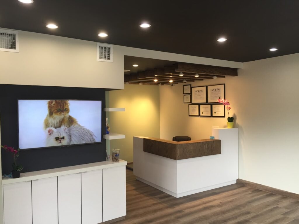 cranford animal hospital 3 1024x768