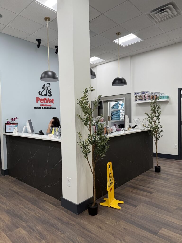 cranford animal hospital 5 768x1024
