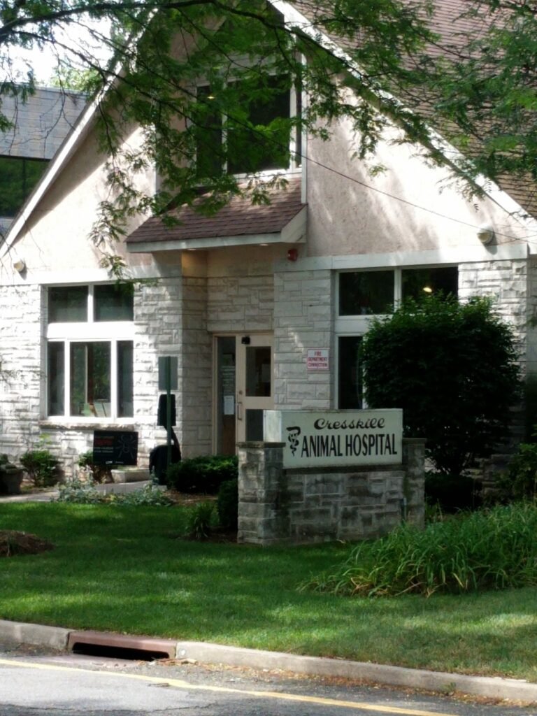 cresskill animal hospital 4 768x1024