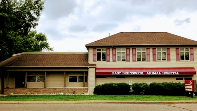 east brunswick animal hospital 2 768x432