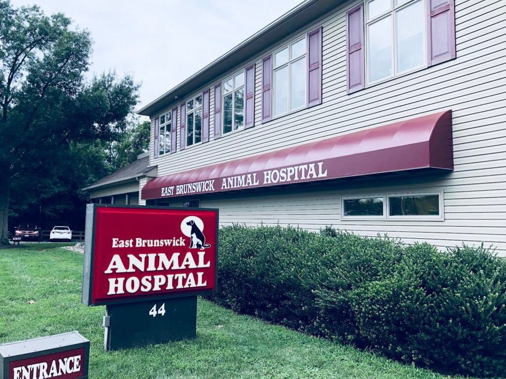 east brunswick animal hospital 3 1024x768