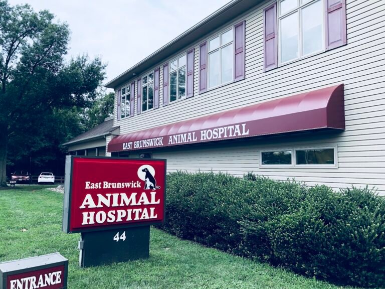 east brunswick animal hospital 3 768x576
