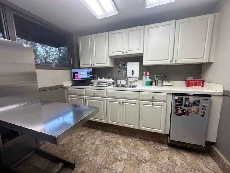 east brunswick animal hospital 5 768x576
