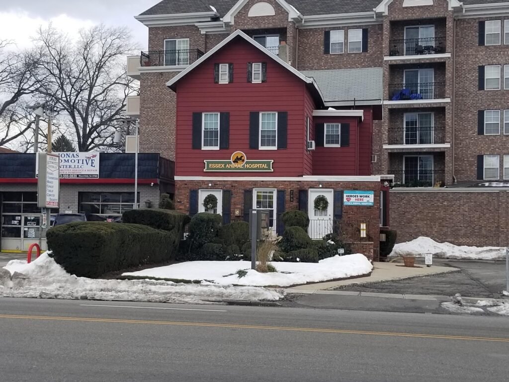 essex animal hospital 2 1024x768
