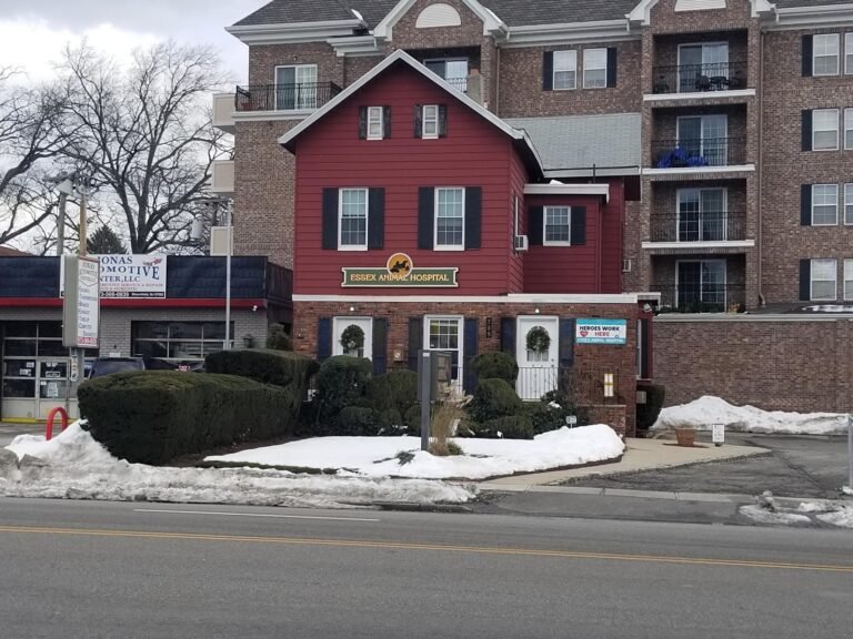 essex animal hospital 2 768x576