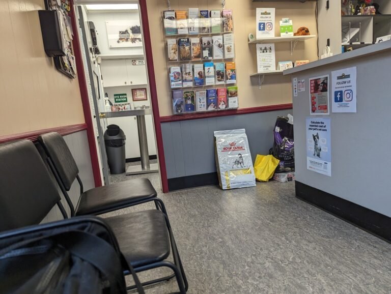 essex animal hospital 3 768x578