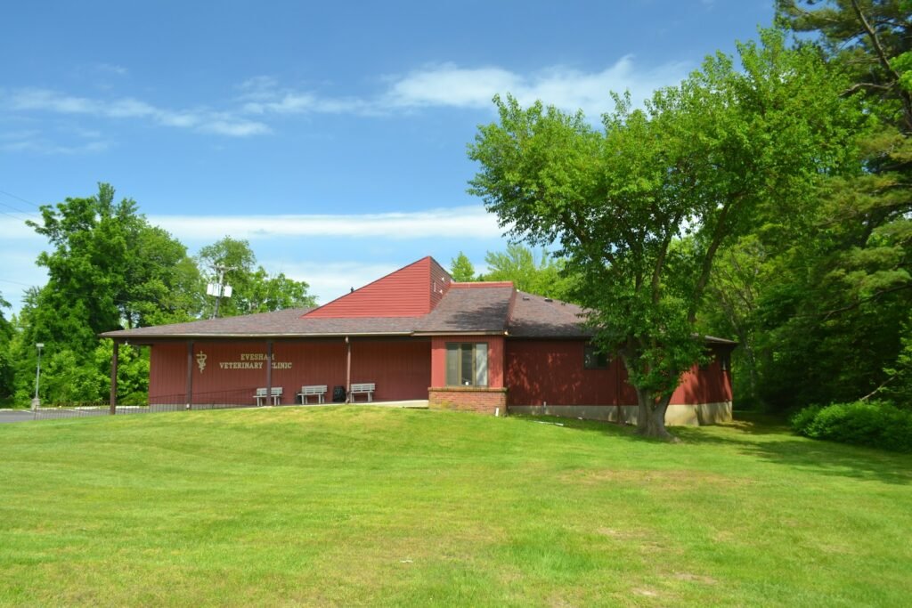 evesham veterinary clinic 2 1024x683