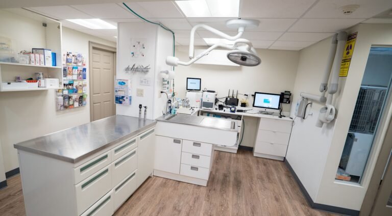fort lee animal clinic 2 768x424