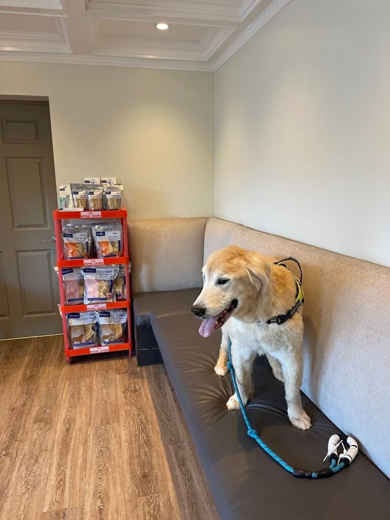 fort lee animal clinic 3 768x1024