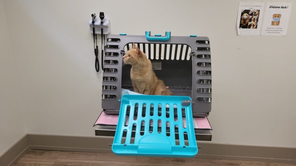 fort lee animal clinic 5 1024x577