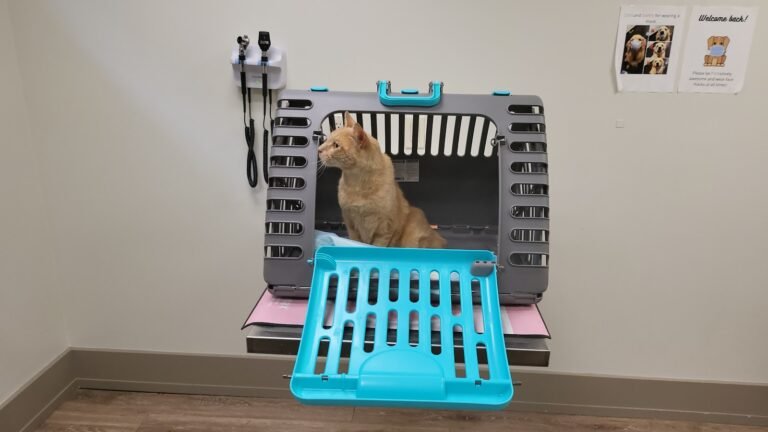fort lee animal clinic 5 768x432