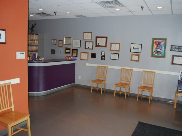 foxmoor animal hospital 3 768x573