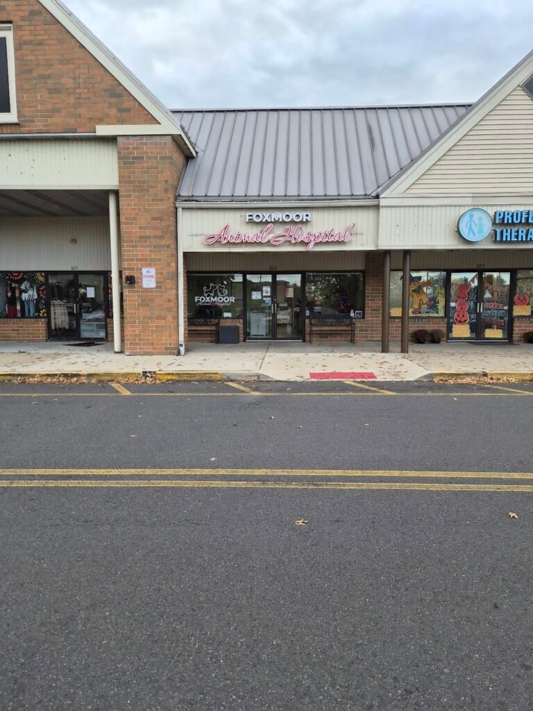 foxmoor animal hospital 5 768x1024