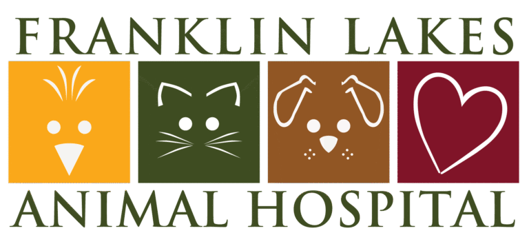 franklin lakes animal hospital 1 768x354