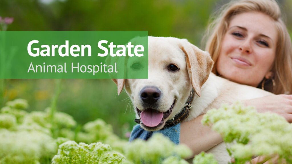 garden state animal hospital 2 1024x576