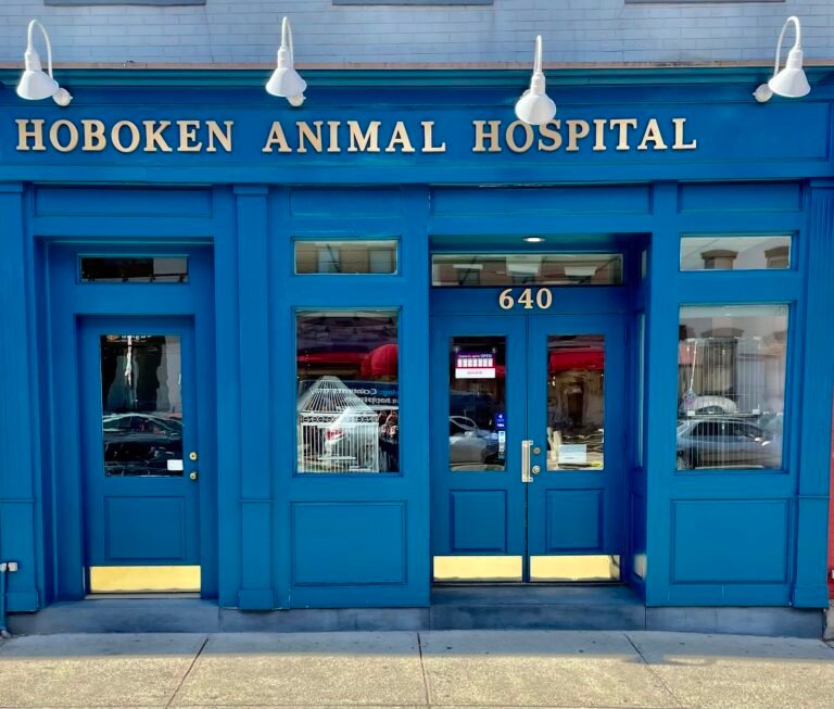 hoboken animal hospital p a 2 768x653